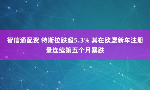 智信通配资 特斯拉跌超5.3% 其在欧盟新车注册量连续第五个月暴跌
