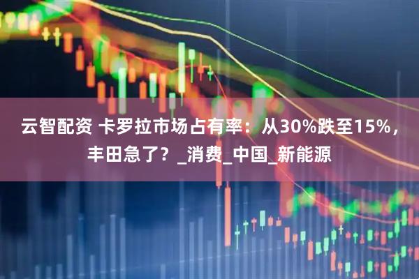 云智配资 卡罗拉市场占有率：从30%跌至15%，丰田急了？_消费_中国_新能源