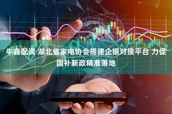 牛鑫配资 湖北省家电协会搭建企银对接平台 力促国补新政精准落地
