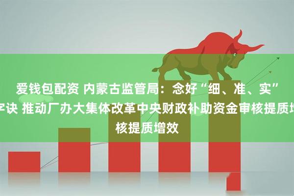 爱钱包配资 内蒙古监管局：念好“细、准、实”三字诀 推动厂办大集体改革中央财政补助资金审核提质增效