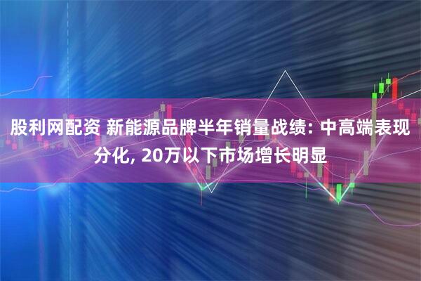 股利网配资 新能源品牌半年销量战绩: 中高端表现分化, 20万以下市场增长明显
